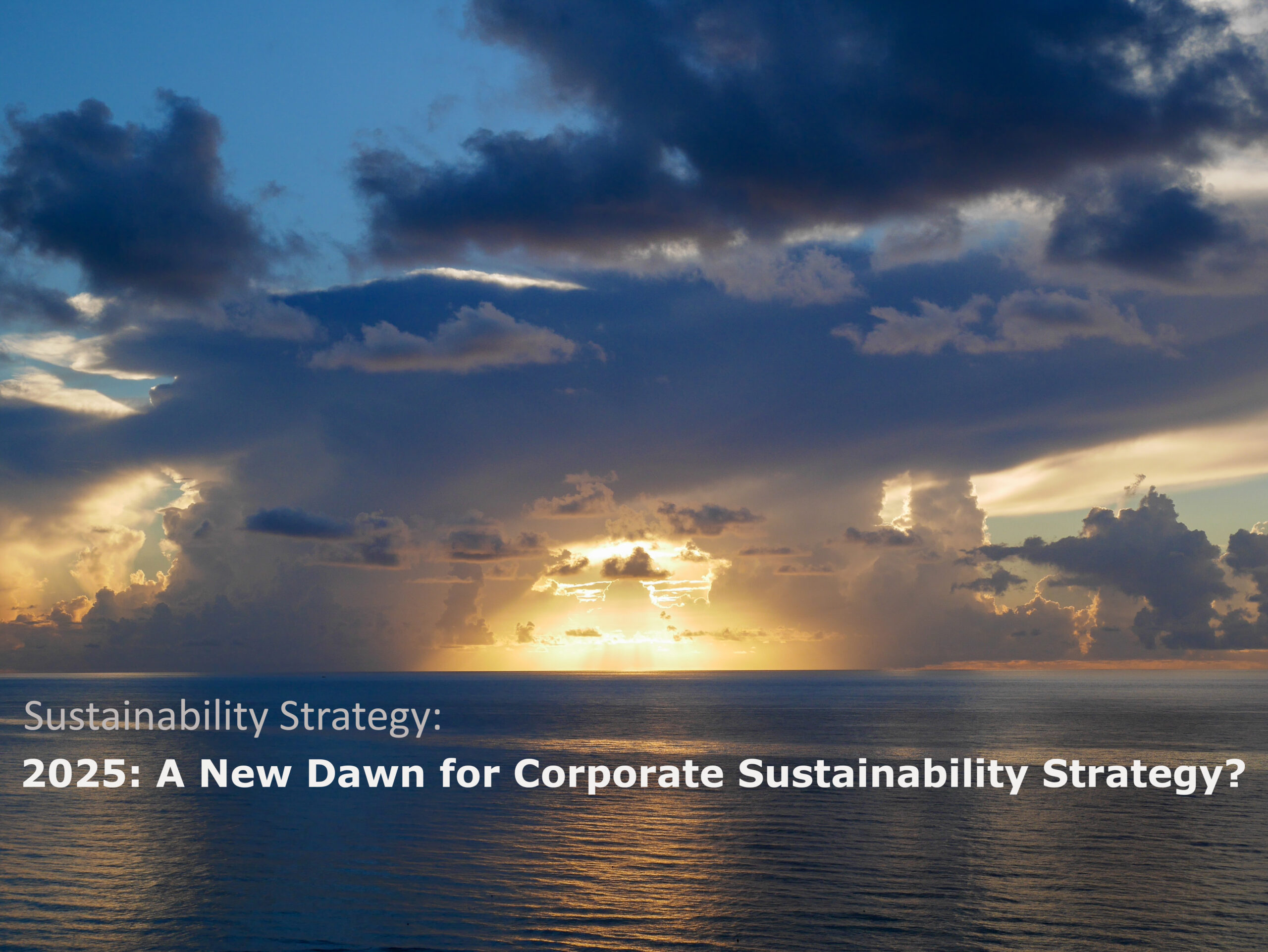 Risk, Reward and Responsibility: the three drivers of sustainability strategy 