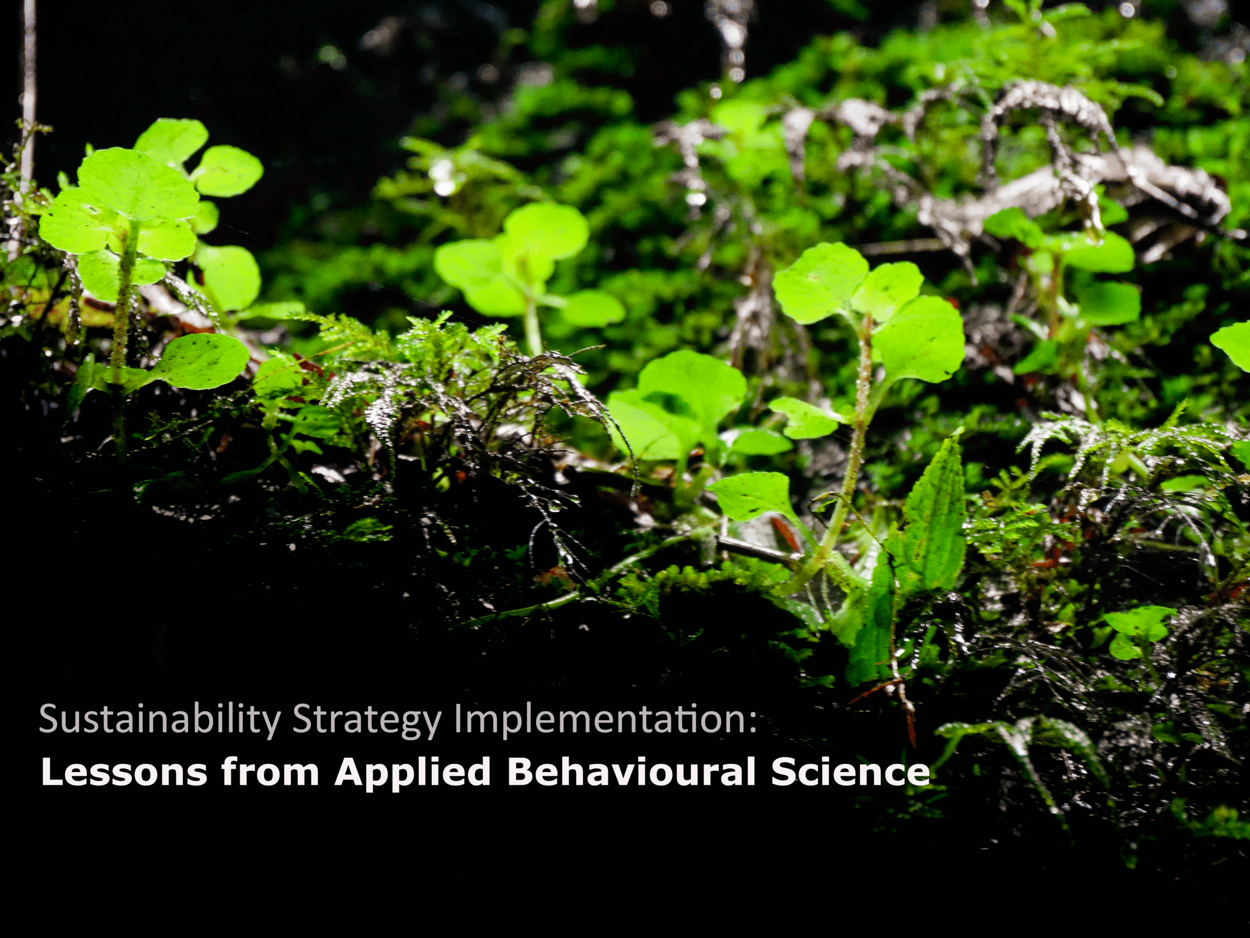 How to manage the Human Element when implementing a sustainability strategy