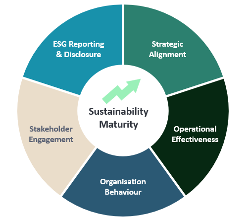 Sustainability maturity donut describing the 5 elements to master