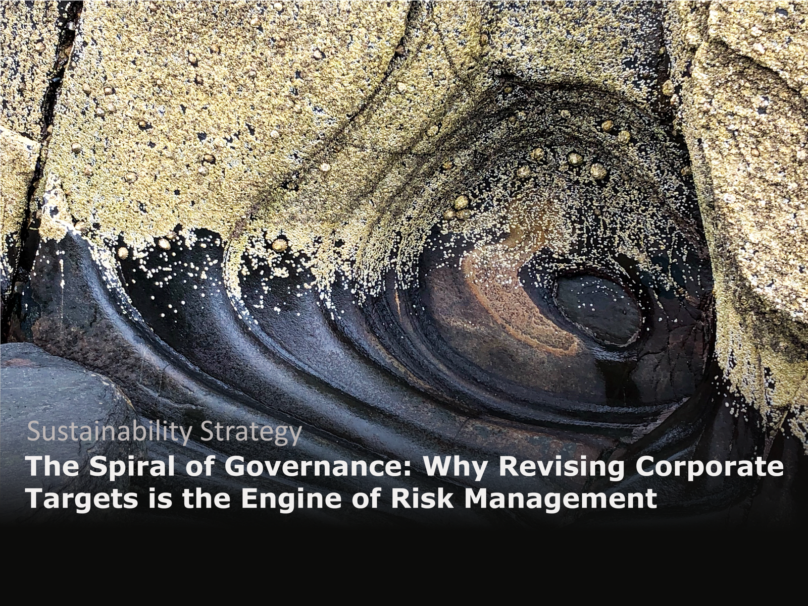 Governance supports dynamic decision-making and creates business resilience.
