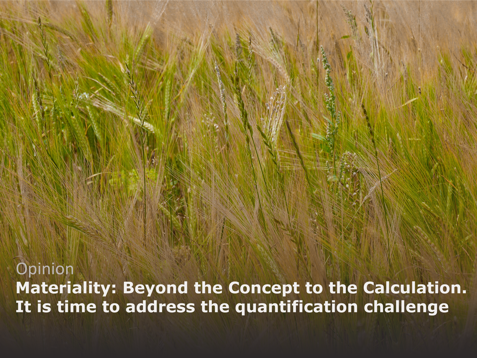 Moving from concepts to calculations: what materiality really needs is a toolkit